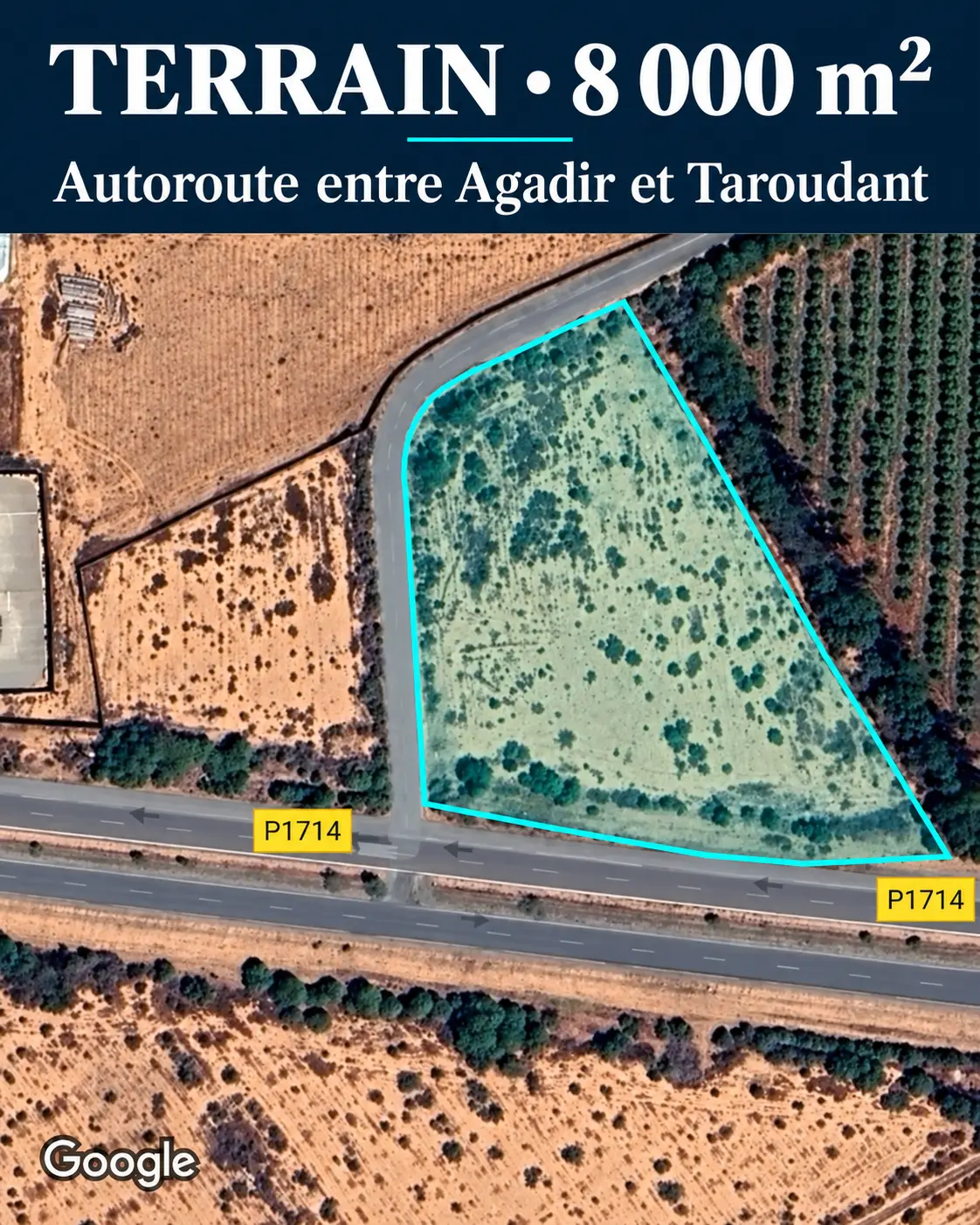 Land for sale in Oulad Teima — photo 1